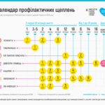 Проведення вакцинації відповідно до календаря щеплень Проведення вакцинації відповідно до календаря щеплень