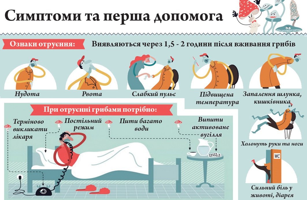 ПАМ'ЯТКА ДЛЯ ГРИБНИКІВ