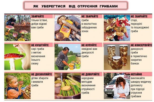 ПАМ'ЯТКА ДЛЯ ГРИБНИКІВ